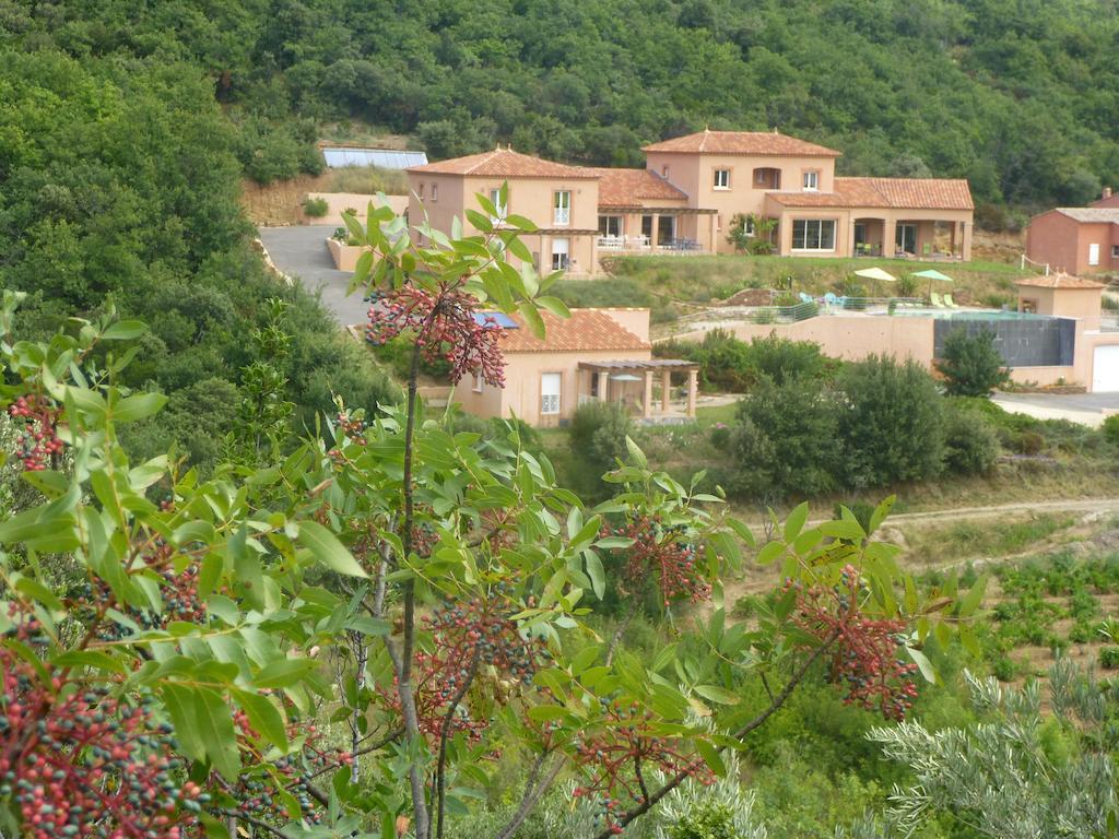 Domaine De Flo Adult A Partir De 16 Ans Bed and Breakfast Saint-Jean-de-la-Blaquiere Εξωτερικό φωτογραφία